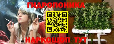 винт Нарткала